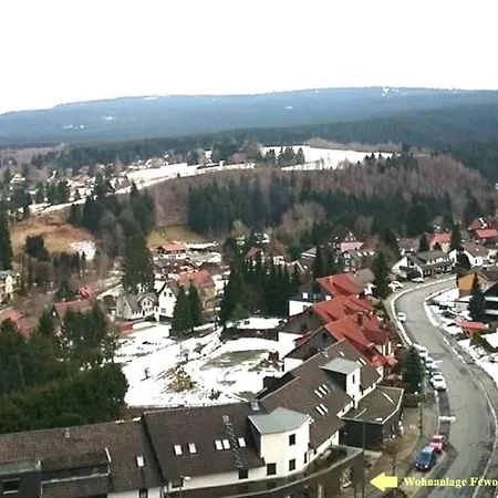 Harz Eulennestchen L2 *