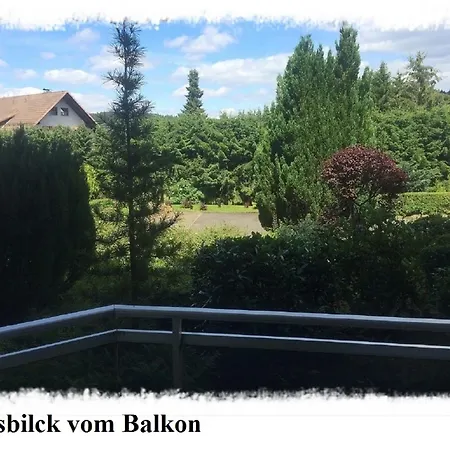 Harz Eulennestchen L2